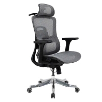 Ghế lưới công thái học GLE20