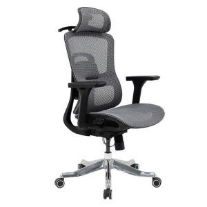 Ghế lưới công thái học GLE20