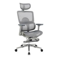 Ghế lưới công thái học GLE21