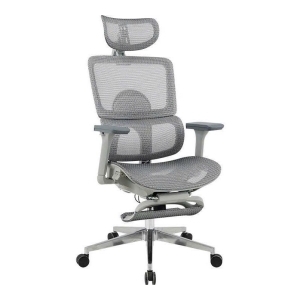 Ghế lưới công thái học GLE21