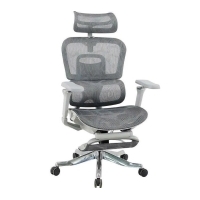 Ghế lưới công thái học GLE22