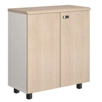 Tủ tài liệu NTV880D