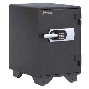 Két sắt PI116KDT88